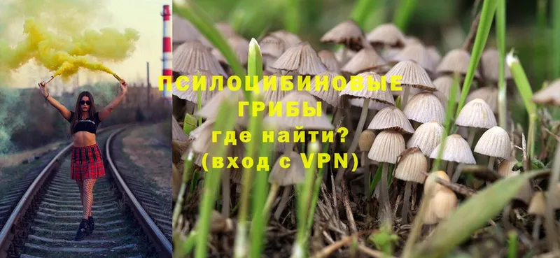 Псилоцибиновые грибы Magic Shrooms  купить наркоту  Зарайск 